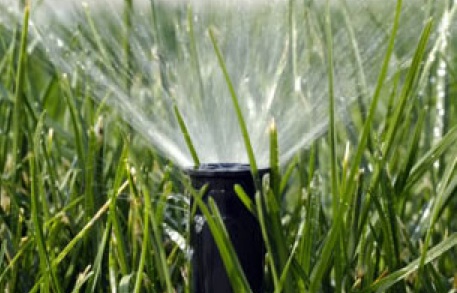 lawn-irrigation-spray-head-photo.jpg